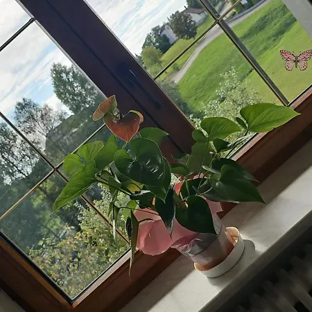 Szálloda Zum Hirschen Strittmatt