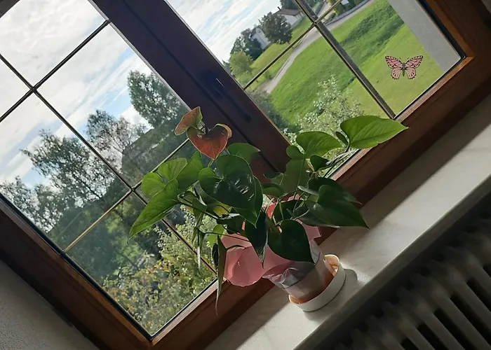 Ξενοδοχείο Zum Hirschen Strittmatt